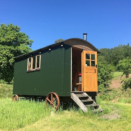 Cosy Woodland Off Grid Shepherds Hut - Rowan Villa Castle Douglas Esterno foto
