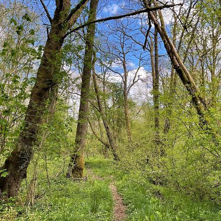 Cosy Woodland Off Grid Shepherds Hut - Rowan Villa Castle Douglas Esterno foto