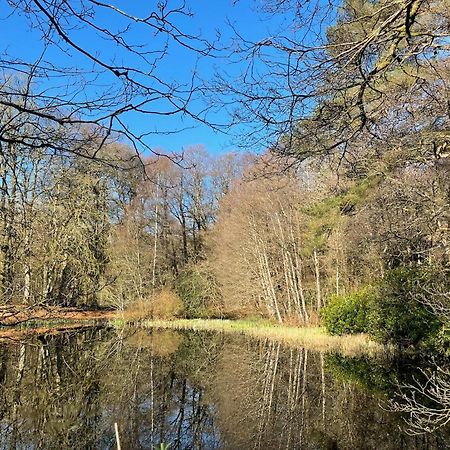 Cosy Woodland Off Grid Shepherds Hut - Rowan Villa Castle Douglas Esterno foto