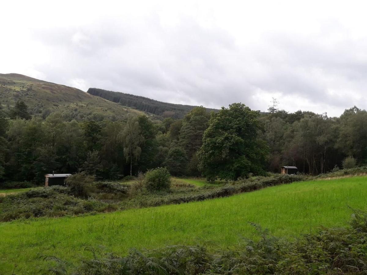 Cosy Woodland Off Grid Shepherds Hut - Rowan Villa Castle Douglas Esterno foto