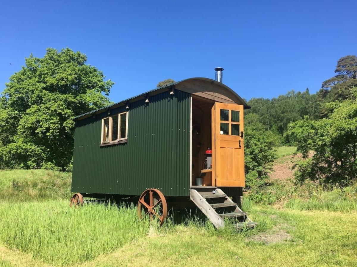 Cosy Woodland Off Grid Shepherds Hut - Rowan Villa Castle Douglas Esterno foto