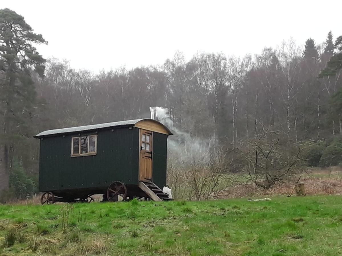 Cosy Woodland Off Grid Shepherds Hut - Rowan Villa Castle Douglas Esterno foto