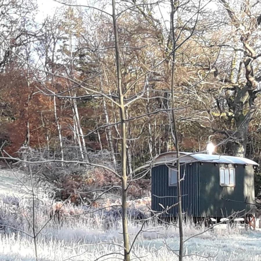 Cosy Woodland Off Grid Shepherds Hut - Rowan Villa Castle Douglas Esterno foto