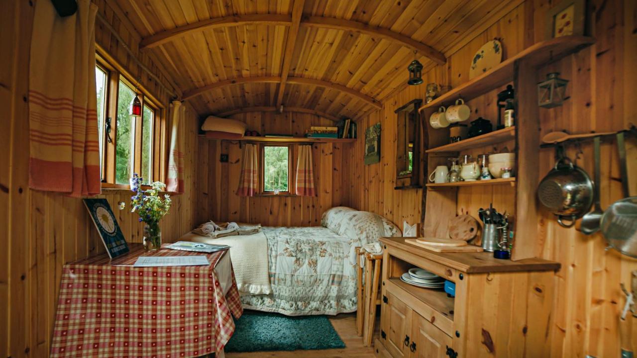 Cosy Woodland Off Grid Shepherds Hut - Rowan Villa Castle Douglas Esterno foto