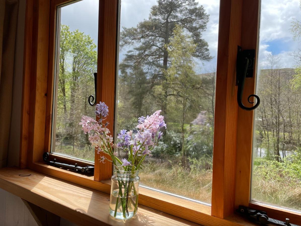 Cosy Woodland Off Grid Shepherds Hut - Rowan Villa Castle Douglas Esterno foto
