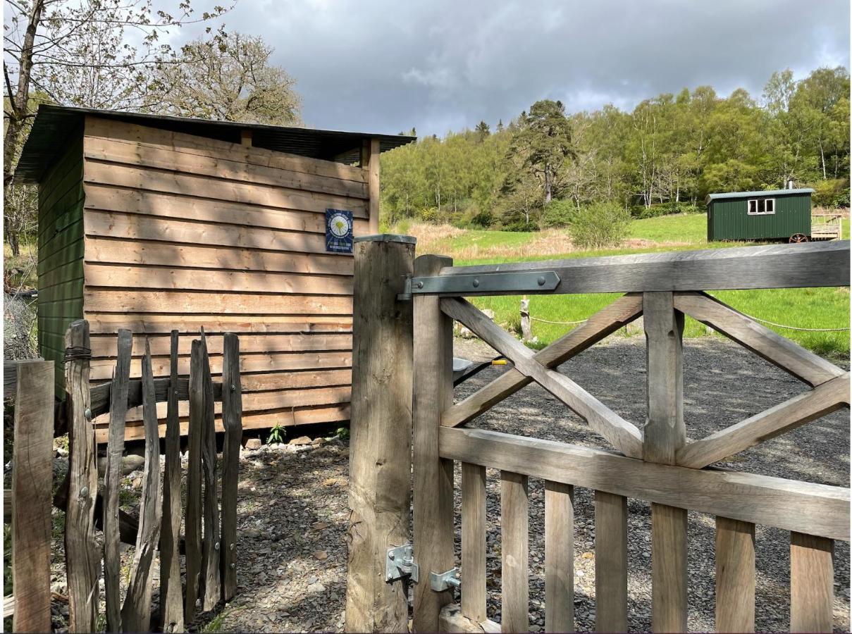 Cosy Woodland Off Grid Shepherds Hut - Rowan Villa Castle Douglas Esterno foto