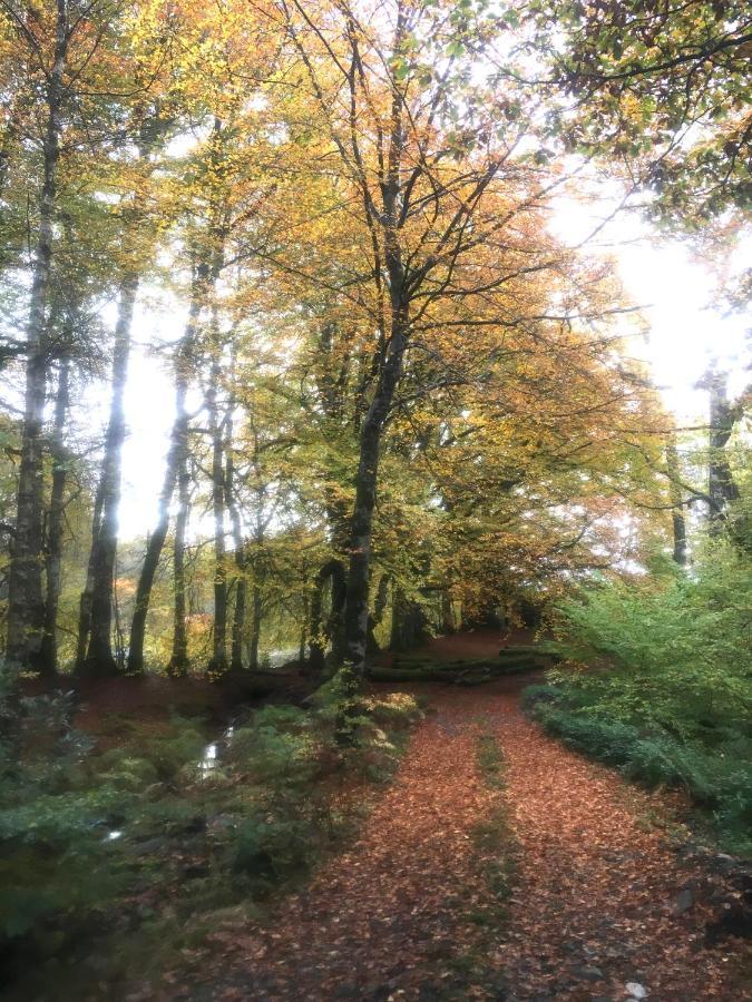 Cosy Woodland Off Grid Shepherds Hut - Rowan Villa Castle Douglas Esterno foto