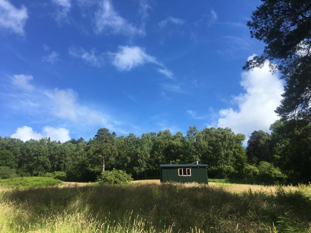 Cosy Woodland Off Grid Shepherds Hut - Rowan Villa Castle Douglas Esterno foto