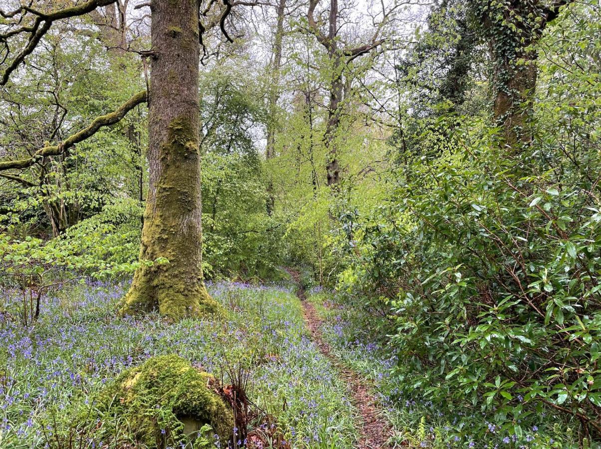 Cosy Woodland Off Grid Shepherds Hut - Rowan Villa Castle Douglas Esterno foto