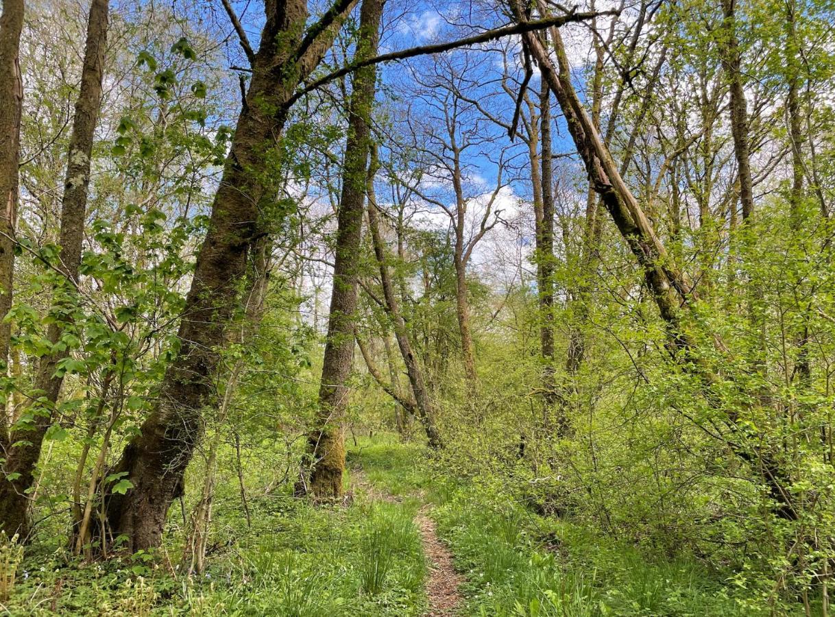 Cosy Woodland Off Grid Shepherds Hut - Rowan Villa Castle Douglas Esterno foto