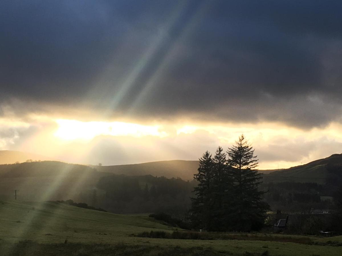 Cosy Woodland Off Grid Shepherds Hut - Rowan Villa Castle Douglas Esterno foto