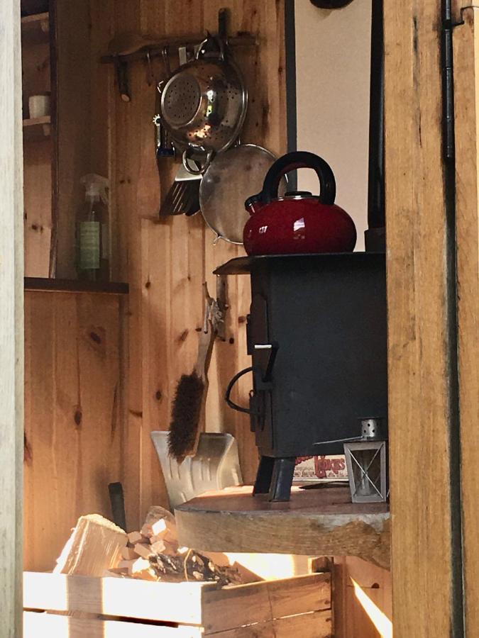 Cosy Woodland Off Grid Shepherds Hut - Rowan Villa Castle Douglas Esterno foto